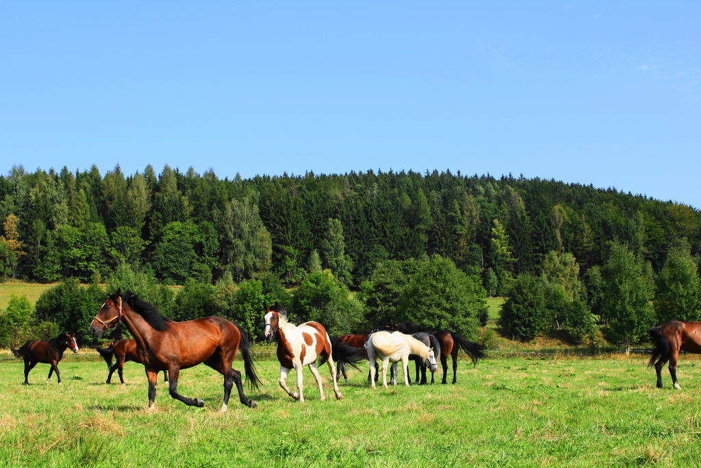 Villa La Val, Karkonosze Szarocin Bagian luar foto
