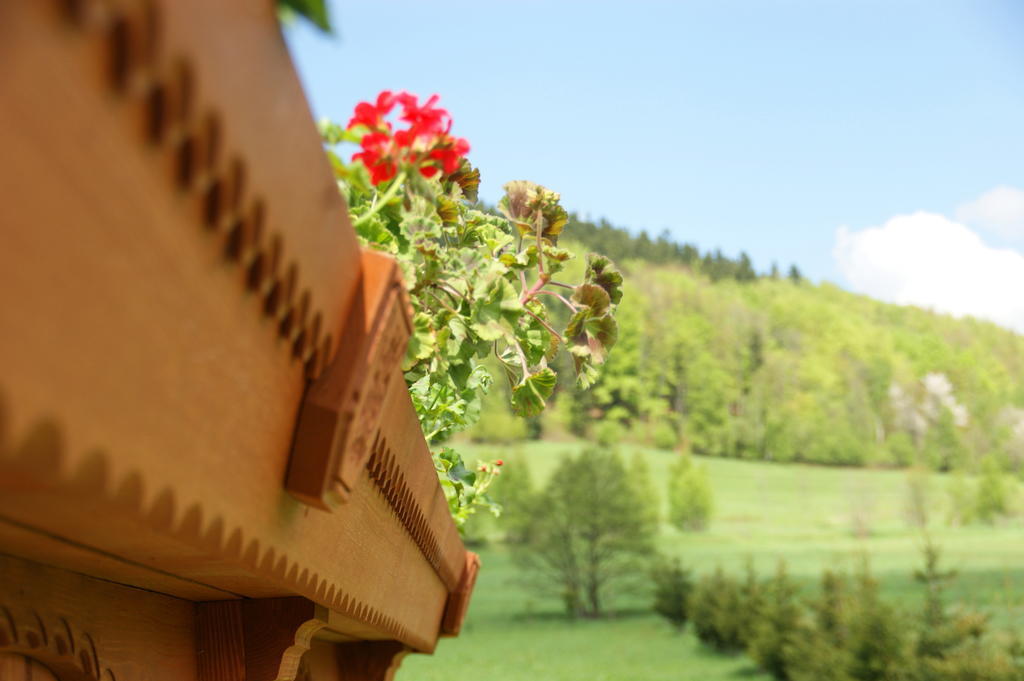 Villa La Val, Karkonosze Szarocin Bagian luar foto